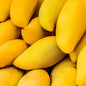 Egyptian Mango - Ewiss (6 pounds)