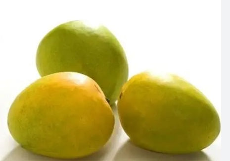 Egyptian Mango - Fons(6 pounds)