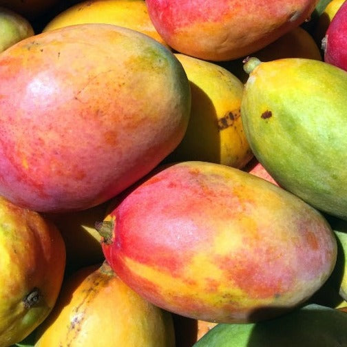 Egyptian Mango - Sedika - (3 kg)